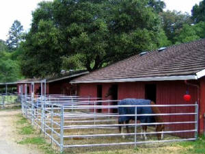 glenwoodbarn1.jpg